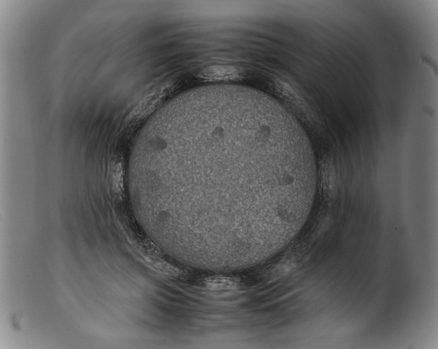 X0000099410549200805231607