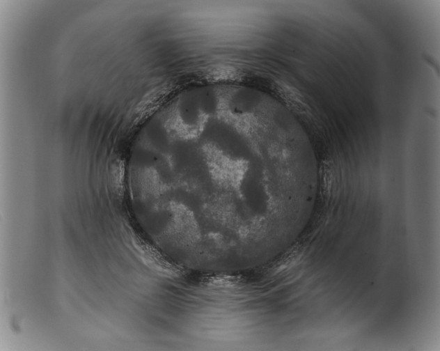 X0000099410550200805231607