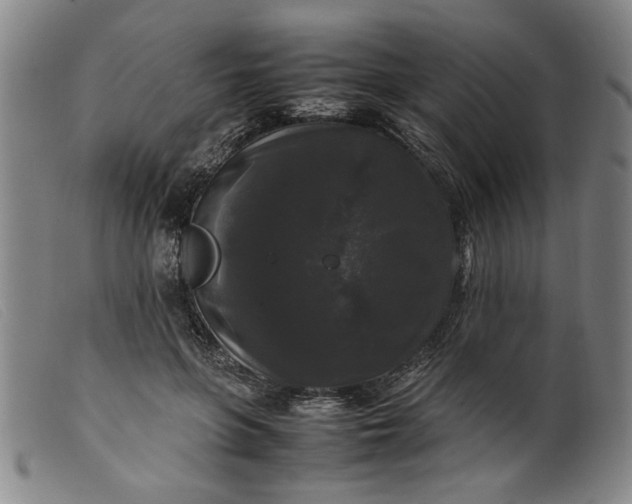 X0000099410551200805231607