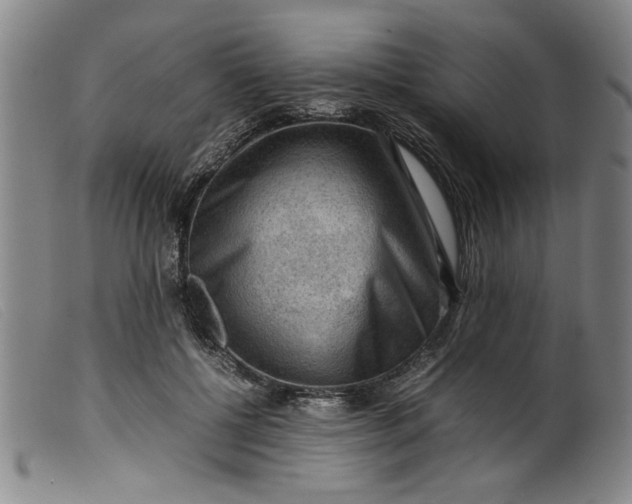 X0000099410552200805231607