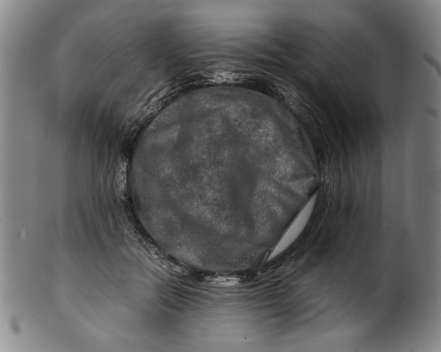 X0000099410554200805231607