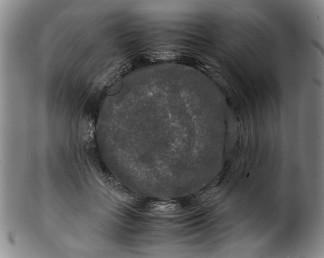 X0000099410555200805231607