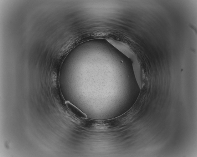 X0000099410556200805231607