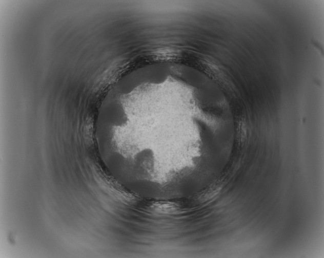 X0000099410557200805231607