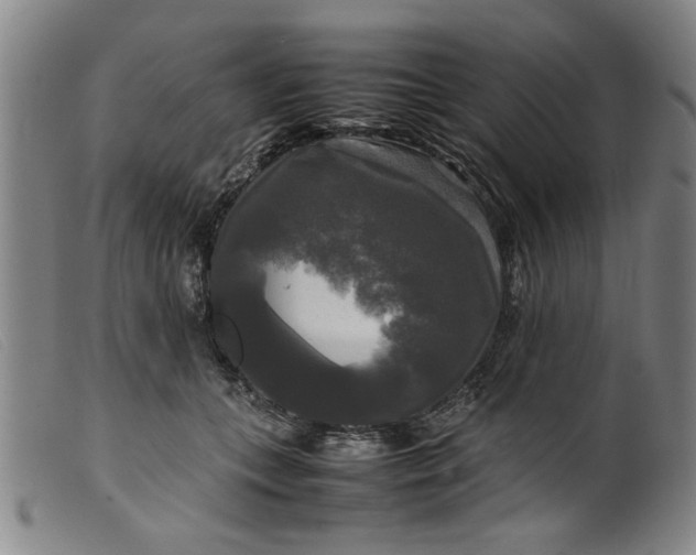 X0000099410559200805231607