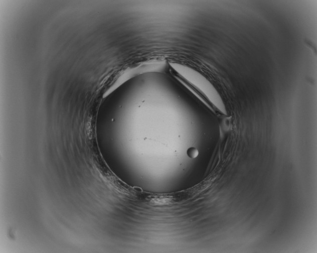 X0000099410560200805231607