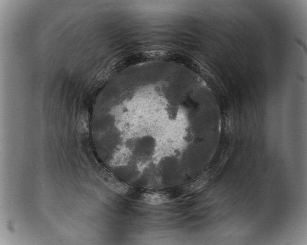 X0000099410561200805231607