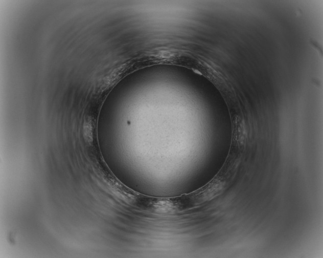 X0000099410562200805231607