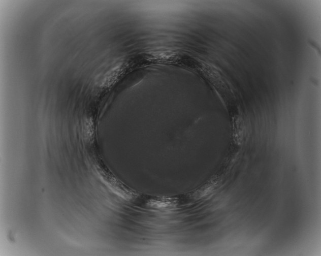 X0000099410563200805231607