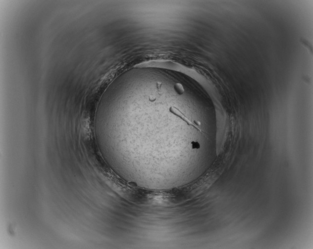 X0000099410564200805231607