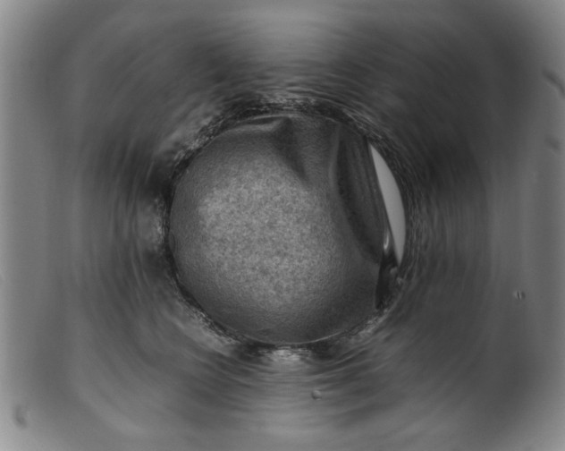 X0000099410566200805231607