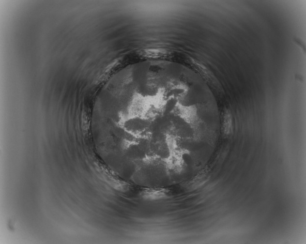 X0000099410569200805231607