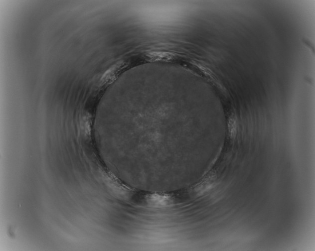 X0000099410570200805231607