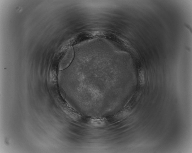 X0000099410571200805231607