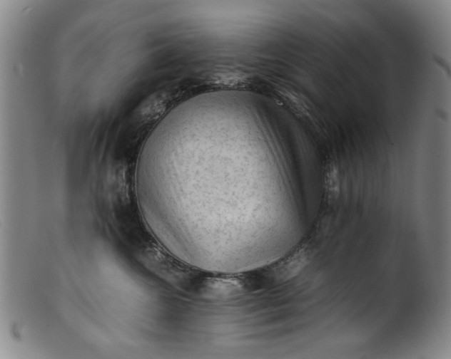 X0000099410572200805231607