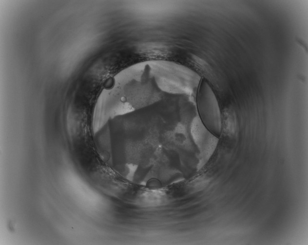 X0000099410573200805231607