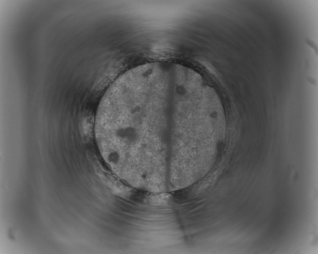 X0000099410576200805231607