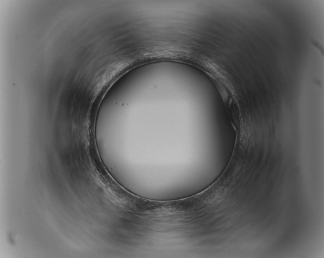 X0000099410578200805231606