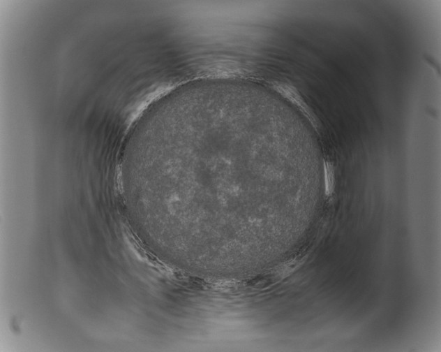 X0000099410579200805231606