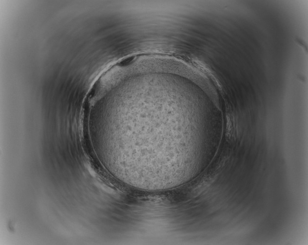 X0000099410580200805231606