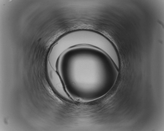 X0000099410581200805231606