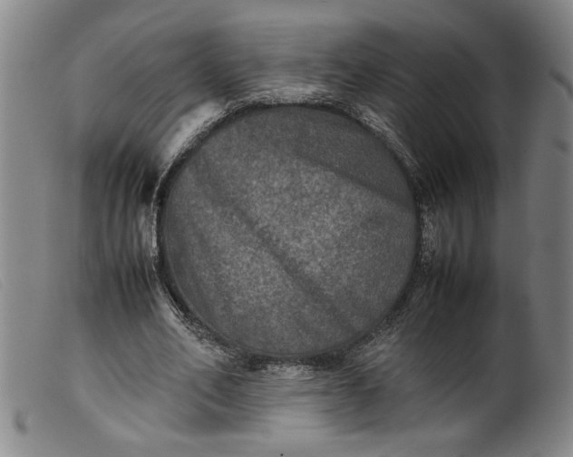 X0000099410582200805231606