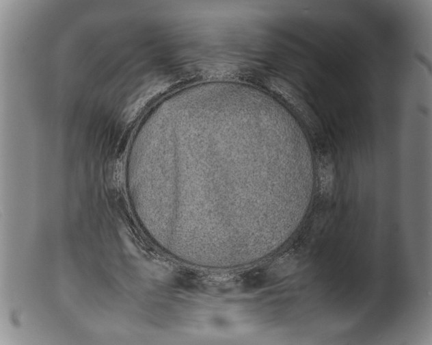 X0000099410583200805231606