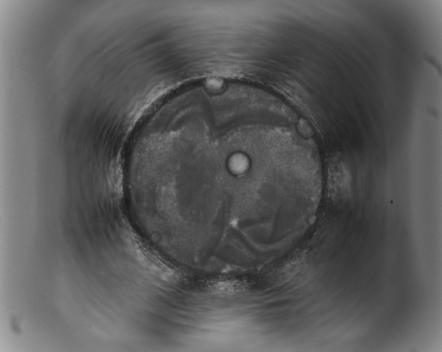 X0000099410584200805231606