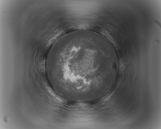 X0000099410585200805231606