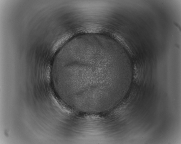 X0000099410586200805231606