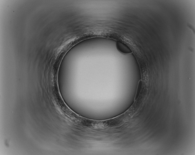 X0000099410587200805231606