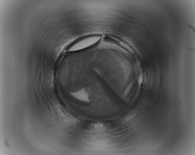 X0000099410588200805231606