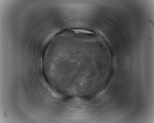 X0000099410589200805231606