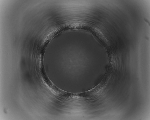 X0000099410590200805231606