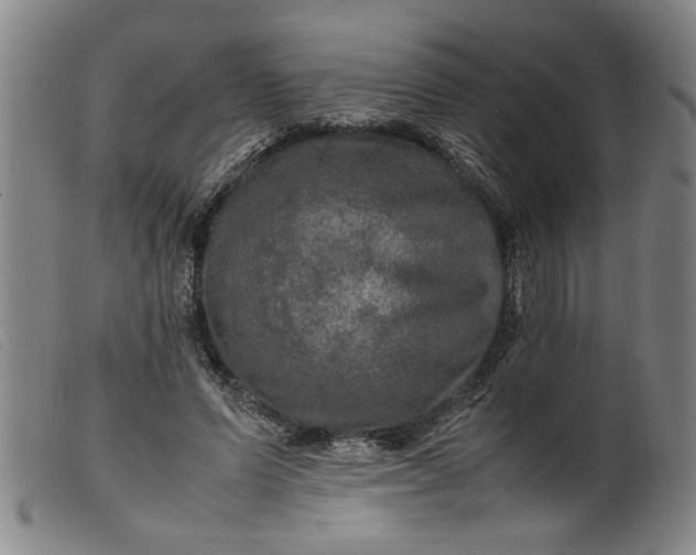 X0000099410591200805231606