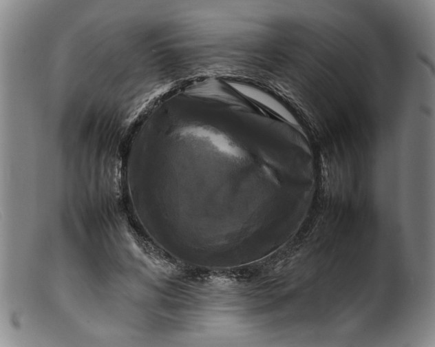 X0000099410592200805231606