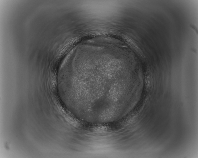 X0000099410593200805231606