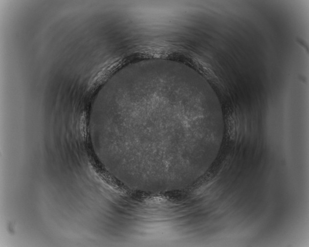 X0000099410594200805231606