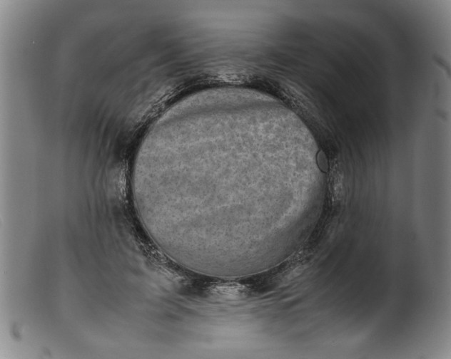 X0000099410595200805231606