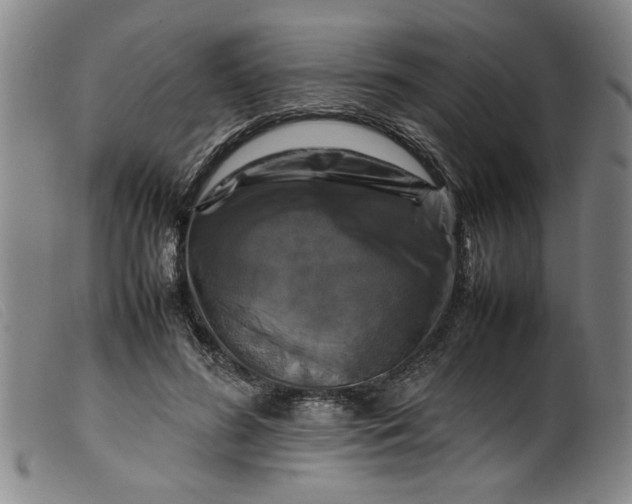 X0000099410596200805231606