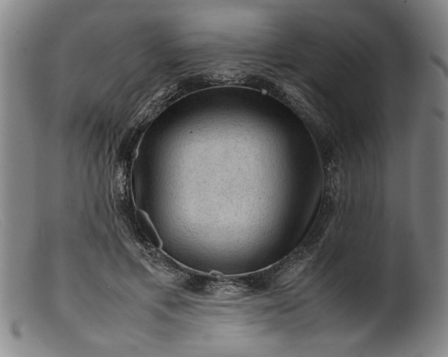 X0000099410597200805231606