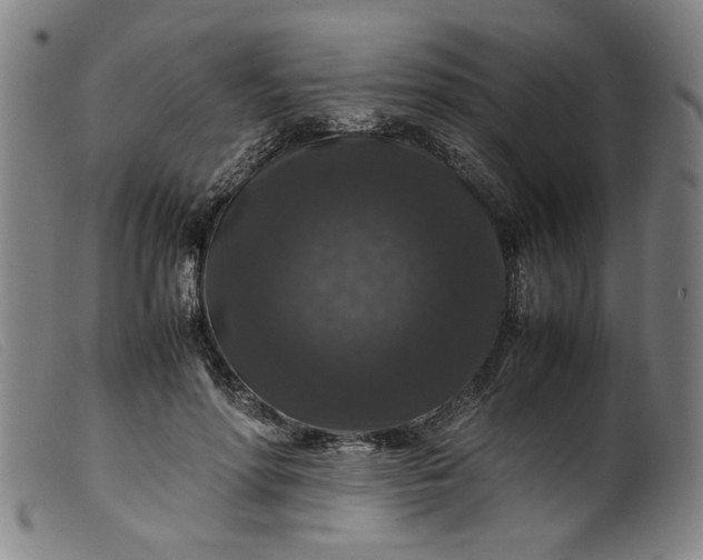 X0000099410598200805231606