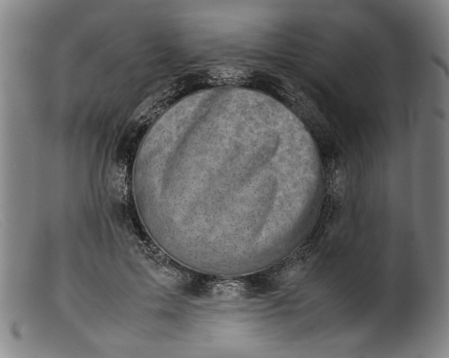 X0000099410599200805231606