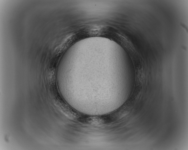 X0000099410601200805231606