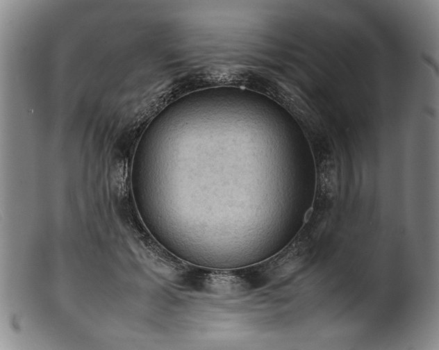 X0000099410605200805231606