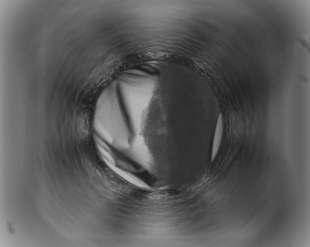 X0000099410606200805231606