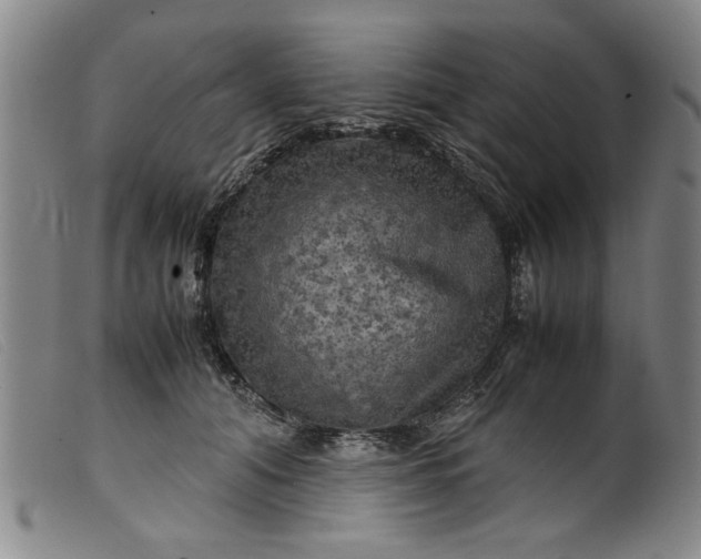 X0000099410608200805231606