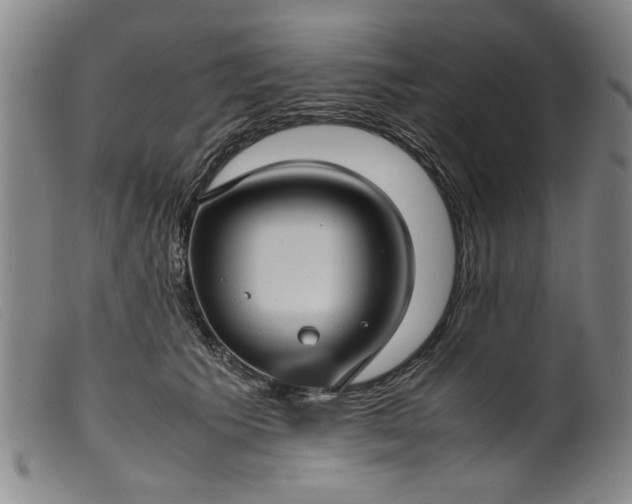 X0000099410609200805231606