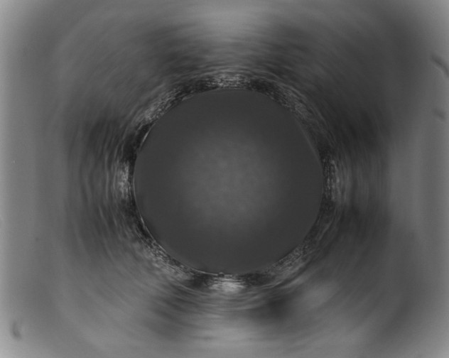 X0000099410610200805231606