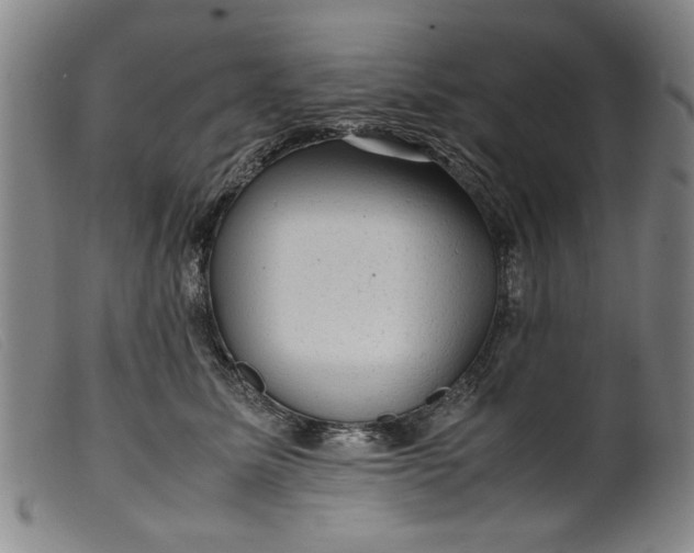 X0000099410611200805231606